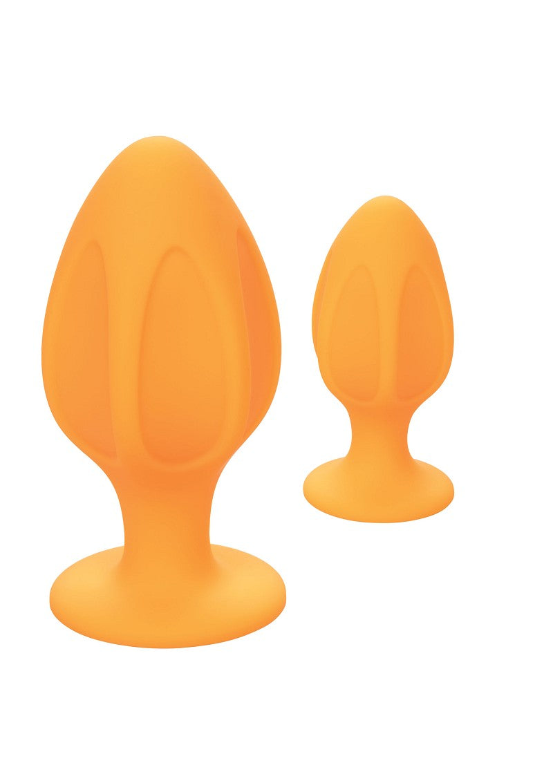 2 ცალიანი ნაკრები Buttplug